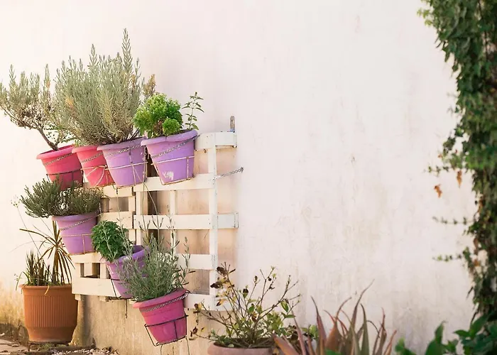アパート Lora & With Balcony In Corfu *
