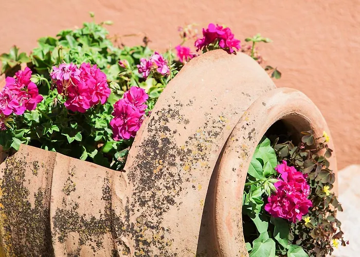 Lora & With Balcony In Corfu דירה *