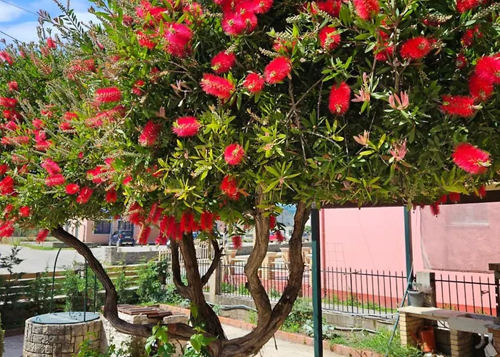 Lora & With Balcony In Corfu *